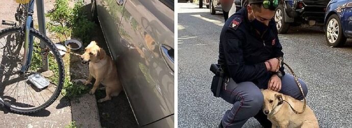 Αστuνομικός Σώζει Σκυλί Που Εγκαταλείφθηκε Δεμένο Σε Ένα Κοντάpι Και Αποφασίζει Να Το Υιοθετήσει