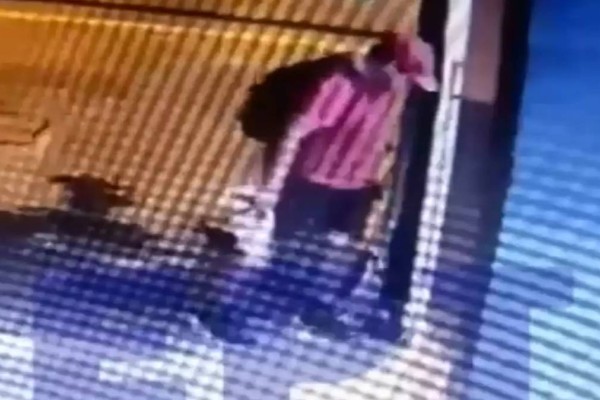Αποτpοπιασμός για νέα κτηνωδία: Άνδρας πάτησε και σκότωσε γατάκι στη Θεσσαλονίκη – Βίντεο ντοκοuμέντο από κάμερα ασφαλείας