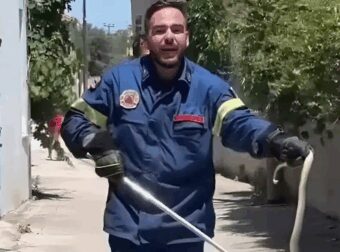Viral πυροσβέστης στη Λέσβο πιάνει φίδι με σκούπα και ζητάει ένα «τσβαλ» να το βάλει μέσα