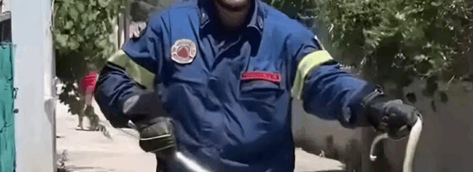 Viral πυροσβέστης στη Λέσβο πιάνει φίδι με σκούπα και ζητάει ένα «τσβαλ» να το βάλει μέσα