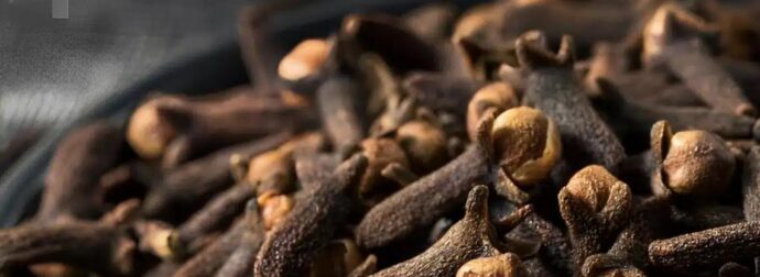 Τα οφέλη του αφεψήματος με γαρύφαλλο