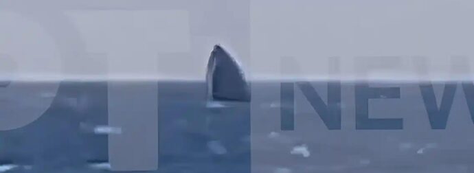 Λέσβος: Βύθιση σκάφους της Frontex ανοιχτά της Ανάξου – Σώοι οι έξι επιβαίνοντες