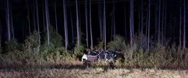 Τραγωδία Τώρα: Νεκροί τρεις μαθητές στην επιστροφή τους από διακοπές- Στη ΜΕΘ ένας 18χρονος