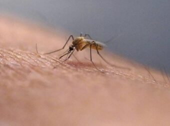 ΕΚΤΑΚΤΟ: ΠΑΓΚΟΣΜΙΟΣ ΣΥΝΑΓΕΡΜΟΣ ΓΙΑ ΝΕΟ ΙΟ – ΠΩΣ ΜΕΤΑΔΙΔΕΤΑΙ
