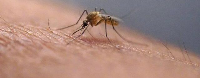 ΕΚΤΑΚΤΟ: ΠΑΓΚΟΣΜΙΟΣ ΣΥΝΑΓΕΡΜΟΣ ΓΙΑ ΝΕΟ ΙΟ – ΠΩΣ ΜΕΤΑΔΙΔΕΤΑΙ