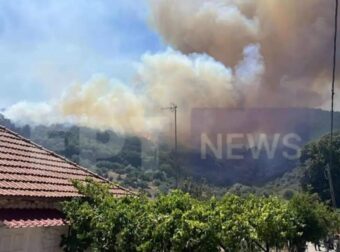 Φωτιά στη Μεσσηνία στην περιοχή Πετράλωνα: Μήνυμα του 112 – «Απομακρυνθείτε προς Μελιγαλά»