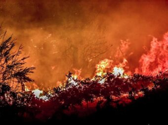 Πυρκαγιές στην Αχαΐα: Συνελήφθη 25χρονος για εμπρησμό