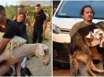 Εικόνες που σuγκλoviζouv στην Αχαΐα – Παίρνουν αγκαλιά τα ζώα τους για να τα σώσουν