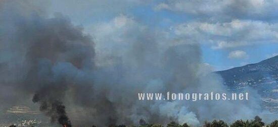 Φωτιά τώρα στη Λαμία – Σηκώθηκαν εναέρια μέσα