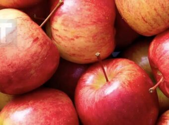 Αυτό που κανείς δεν σου είπε για τα μήλα – Μια φυσική ασπίδα