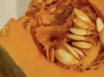 Οι γιατροί αποκαλύπτουν ότι η κατανάλωση κολοκύθας προκαλεί