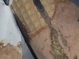 Η κόρη μου άνοιξε ένα παγωτό χωνάκι και βρήκε κάτι παράξενο μέσα, μείναμε άφωνοι όταν συνειδητοποιήσαμε τι ήταν