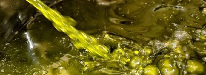 ΕΚΤΑΚΤΟ – Ελαιόλαδο: «Κλείδωσε» η νέα τιμή