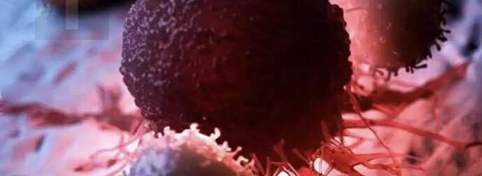 8 από τις καλύτερες αντικαρκινικές τροφές. Ήρθε η ώρα να τις προσθέσετε στη διατροφή σας