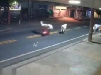 Νεκρός πασίγνωστος ποδοσφαιριστής σε τροχαίο – ΒΙΝΤΕΟ ΣΟΚ