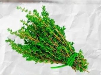 Φυσικό Detox Ρόφημα για την Απομάκρυνση Παρασίτων από το Σώμα!