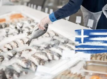 ΣΥΝΑΓΕΡΜΟΣ ΓΙΑ ΤΑ ΨΑΡΙΑ ΣΤΑ ΕΛΛΗΝΙΚΑ ΣΟΥΠΕΡ ΜΑΡΚΕΤ – ΜΕΓΑΛΗ ΠΡΟΣΟΧΗ