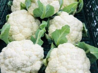 Οι γιατροί αποκαλύπτουν ότι η κατανάλωση λευκού κουνουπίδι προκαλεί..