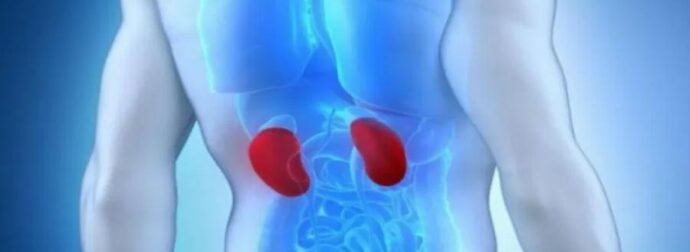 Αν τα νεφρά σας βρίσκονται σε κiνδυνο το σώμα σας θα εμφάνισε αυτά τα 10 σημάδια