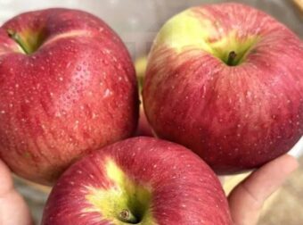 Οι γιατροί αποκαλύπτουν ότι η κατανάλωση μήλων προκαλεί…