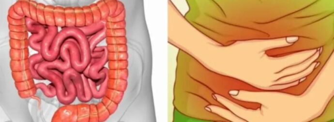 Αέρια στο έντερο: Τι δείχνουν για την υγεία μας – Ποιες οι αιτίες και πως να αντιμετωπίσουμε το πρόβλημα