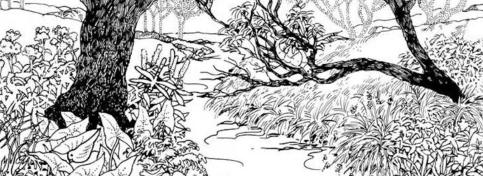 Μόνο άτομα με υψηλό IQ μπορούν να βρουν το ανθρώπινο πρόσωπο