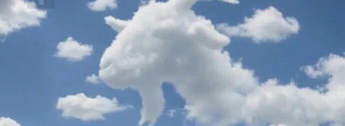 Είδες πρώτα μια χελώνα ή μια κατσίκα; – Τι αποκαλύπτει αυτό για το πώς λειτουργεί ο εγκέφαλός σου