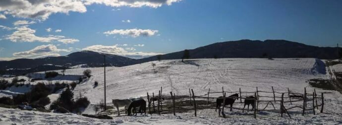 Χιόνισε σε πανέμορφη ελληνική περιοχή – H πρώτη αξιόλογη χιονόπτωση