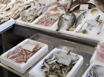 Το πιο υγιεινό ψάρι που όλοι πρέπει να τρώμε τουλάχιστον δύο φορές την εβδομάδα