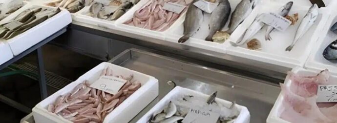 Το πιο υγιεινό ψάρι που όλοι πρέπει να τρώμε τουλάχιστον δύο φορές την εβδομάδα