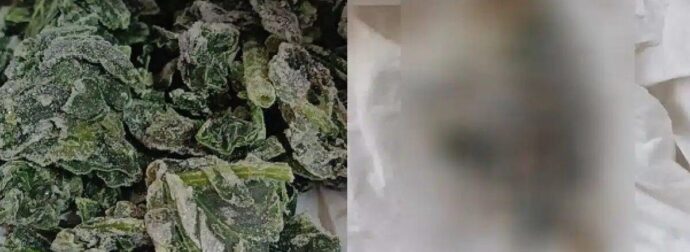 Νεκρό ποντίκι σε Ελληνικό κατεψυγμένο σπανάκι πασίγνωστης εταιρείας