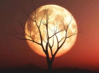 Τα 4 Zώδια που θα επηρεαστούν περισσότερο από την Πανσέληνο ΣΗΜΕΡΑ 4 ΔΕΚΕΜΒΡΗ