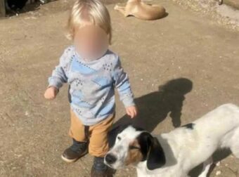 Αυτός είναι το ξανθό αγγελούδι που κατασπάραξε το πίτμπουλ χτες στην Ζάκυνθο – Μαθεύτηκε όλη η αλήθεια