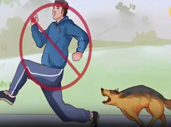 Γιατί τα σκυλιά γαβγίζουν και δαγκώνουν μερικούς ανθρώπους και όχι άλλους; Υπάρχει πάντα ένας λόγος!