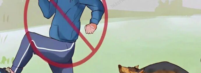 Γιατί τα σκυλιά γαβγίζουν και δαγκώνουν μερικούς ανθρώπους και όχι άλλους; Υπάρχει πάντα ένας λόγος!