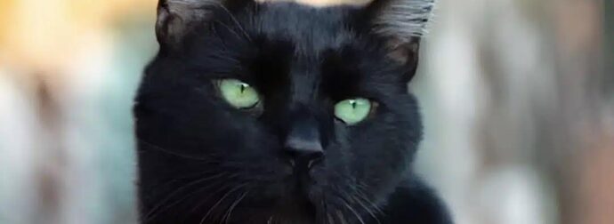 Τα 3 άτυχα ζώδια του 2026 – Θα δοκιμαστούν περισσότερο από όλους