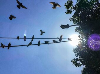 Οι διακοπές ρεύματος για σήμερα, Τρίτη (23/12) στην Αττική