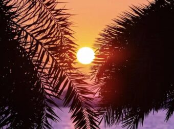 Έρχονται οι Αλκυονίδες μέρες – Πότε ο καιρός θα θυμίζει άνοιξη