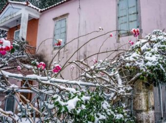 «Μίλησαν» τα Μερομήνια: Χιόνια μέσα στον Μάρτιο – Θα πνιγούν στο χιόνι