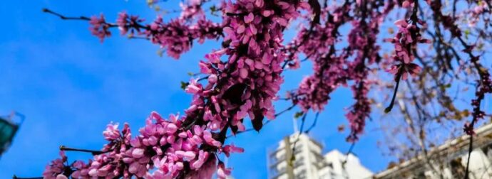 ΑΥΤΟ ΕΙΝΑΙ ΤΟ ΖΩΔΙΟ ΠΟΥ ΘΑ «ΣΑΡΩΣΕΙ» ΤΟ ΥΠΟΛΟΙΠΟ 2026, ΣΕ ΤΥΧΗ, ΧΡΗΜA, ΕΡΩTA