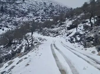 Ψυχρή εισβολή από την Αρκτική απειλεί την Ελλάδα – Κίνδυνος παγετού και ζημιών στην αγροτική παραγωγή