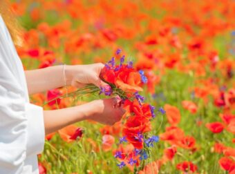 Πρωτομαγιά: Τριήμερο φέτος και η ιδιαίτερη περίπτωση πενθήμερου το 2027