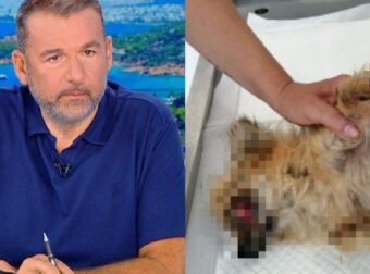 ΑΥΤΟΣ ΕΙΝΑΙ Ο ΓΝΩΣΤΟΣ ΜΟΥΣΙΚΟΣΥΝΘΕΤΗΣ ΠΟΥ ΚΑΤΗΓΟΡΕΙΤΑΙ ΓΙΑ ΚΑΚΟΠΟΙΗΣΗ ΖΩΟΥ