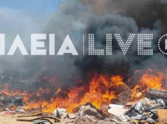 Συναγερμός στην Ηλεία: Φωτιά σε χαμηλή βλάστηση στο Βαρθολομιό – Μήνυμα από το 112 στους κατοίκους