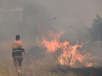 Φωτιά στο Καλαμάκι Βοιωτίας: 112 για Πόρτο Γερμενό και Προσήλι – «Εκκενώστε προς Μάνδρα»
