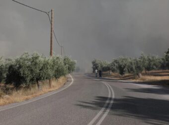 ΕΚΤΑΚΤΟ ΤΩΡΑ: Φωτιά στη Βοιωτία: Αναζωπύρωση – Μήνυμα από το 112 για εκκένωση