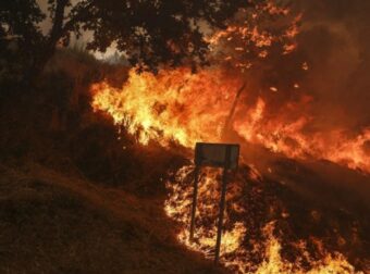 Βοιωτία: Από το δίκτυο ηλεκτροδότησης ξεκίνησαν οι φωτιές – Τα ευρήματα της Πυροσβεστικής