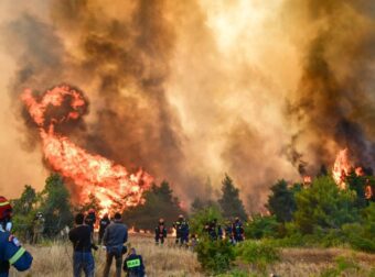 Σε πύρινο κλοιό η Δυτική Αττική – Εκκενώνεται η Ψάθα, παραδόθηκαν στις φλόγες τα πρώτα σπίτια – Καίγεται κτηνοτροφική μονάδα στα Μέγαρα